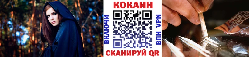 Купить закладки  Дрезна  COCAIN VHQ 