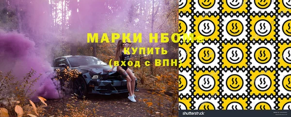 дмт Няндома