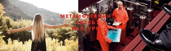 ПСИЛОЦИБИНОВЫЕ ГРИБЫ Нягань